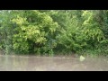 Onweer zomer 2011 Overstroming zoals gewoonlijk van de Zilverbeek langs de Meerlaan te Overijse.