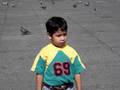 videos de En el Zocalo