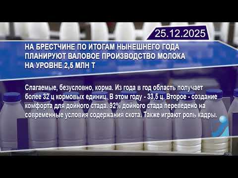 Новостная лента Телеканала Интекс 25.12.25.