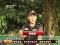 ham-2009.wmv