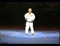 AN ICHI MIYAGI SENSEI TENSHO KATA FALCONE'S SYSTEM