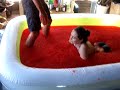 Swimming in Jello