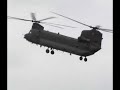 RAF Role Demo at Cosford 08
