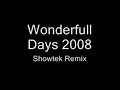 Wonderfull Days 2008 - Showtek Remix