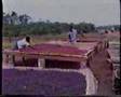 Beautiful Liberia
