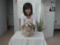 ファルコン動画.AVI