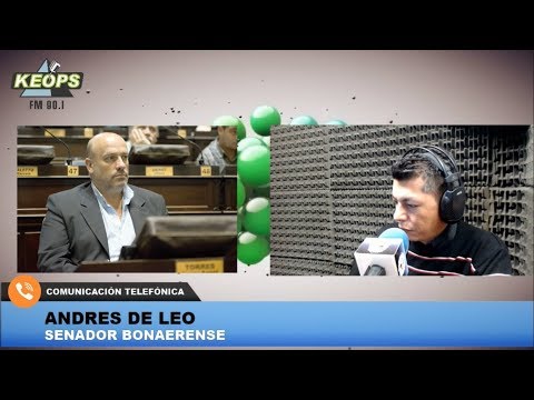 El senador bonaerense de Cambiemos Andrés De Leo analizó la crisis económica del país