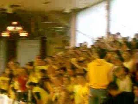 shqiponjat