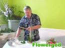 Tea Set Arrangement EP#15 Tea Set Arrangement EP#15