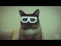Dubstep Cat