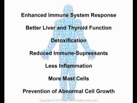 how to improve zinc absorption