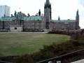 Spontaneous-Ottawa-T