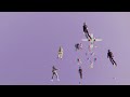 Stereoscopic 3D Skydiving (anaglyph)