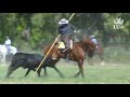 El Caballo en la provincia de Cádiz