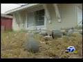 Silicon Valley Foreclosure Tour, Jim Matzen