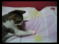 lazer show