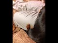 Click here to watch this video まるちょんがスベル