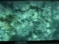 Taman Laut Bunaken Taman Laut Bunaken