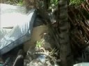BASURA DE LA COMUNIDAD