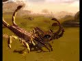 Guild Wars Farm Bug