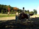 Parelli Games - Fall City 2008 - Finesse
