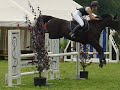 Springreiten RI Affoltern a. A Springreiten RI Affoltern a. A