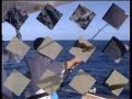 Coral Sea Sportfishing