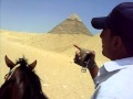 فيديو الأهرام