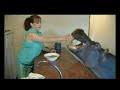 Jessica the Hippo