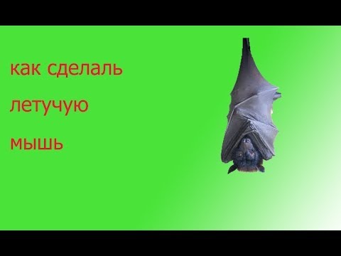 Ёршики для зубов фото Ёршики для зубов фото