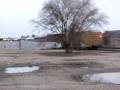 Amtrak #14 of Sun 21 Dec 2008 [HQ]