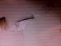 What injured Skeletoncrew\