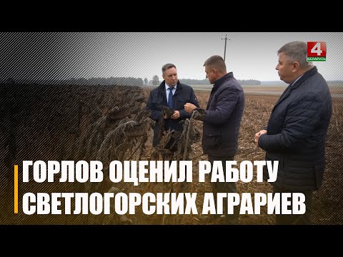 Юрый Горлаў ацаніў раслінаводства і жывёлагадоўлю ў Светлагорскім раёне видео