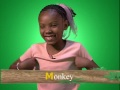 The Letter M