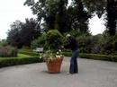 Chris waters flowers at Kensington Palace Chris waters flowers at Kensington Palace
