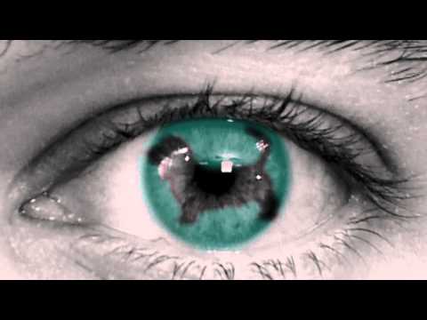 Image de prévisualisation YouTube