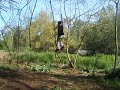 Troy in Tree (RIP TKM)