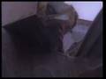 Phillip Boa - Container Love
