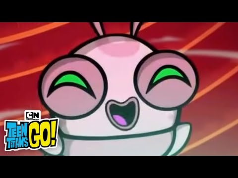 Silkie The Love Bug | Teen Titans GO! | Cartoon Network