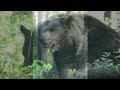 Glacier National Park 2007 Part 3