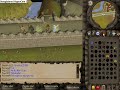 alching in cw alching in cw