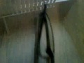 VID 00103-20091112-1049.wmv