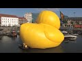 Rubber Duck