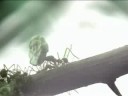 An Ants Work Is Never Done An Ants Work Is Never Done