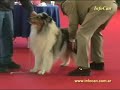 Lomas de Zamora Kennel Club, 02/03