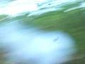 videos de M-80 in tree.MOV