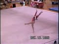 1995 Level 5 State Meet-Florida- USAG Gymnastics Routines