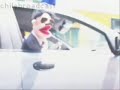 El fin de 31 Minutos [31 Minutos]