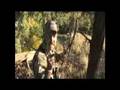 Solitude Ranch & Outfitters