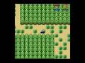 Pokemon Redsteel Preview - Contents